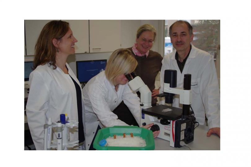 Verena Schöwel, Janine Kieshauer, Simone Spuler and Andreas Marg (from left to right) are developing a cell therapy using primary human muscle stem cells.