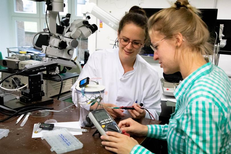 Projekt PITROS | Dr. Theresa Lüdke und Klara Mosshammer entwickeln einen biokompatiblen organischen Sensor zur direkten Überwachung des Drucks im Mittelohr.
