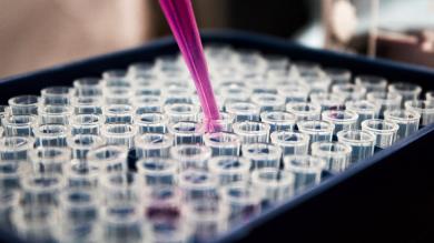 Purple Pipette