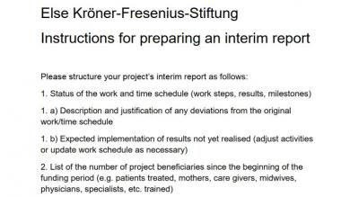 Instructions for preparing an interim report