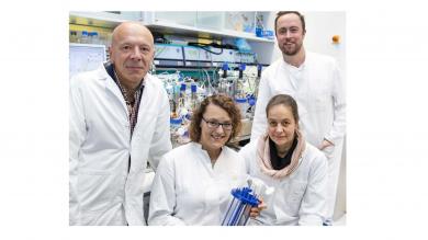 Forscherteam im Labor für die Zellproduktion. Von links nach rechts: PD Dr. Robert Zweigerdt, Dr. Mania Ackermann, Dr. Antje Munder, PD Dr. Nico Lachmann