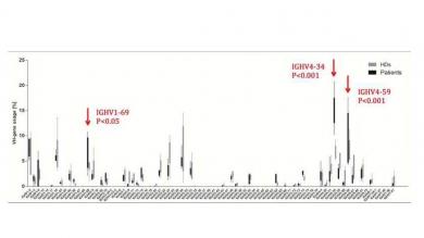 Premalignant B cell receptor repertoire in 5 patients with a lymphoproliferative inborn error of immunity