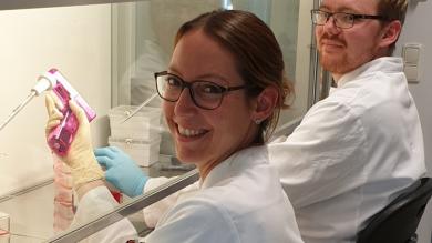 Division of Stem Cell Transplantation and Immunotherapy; Katja Klausz & Steffen Krohn