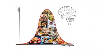 Essen wirkt belohnend auf unser Gehirn. Im Rahmen des Projekts „Binge Eating und neuronale Variabilität“ untersuchen wir den Zusammenhang von erhöhter Variabilität dieser Belohnungsverarbeitung und dem Auftreten von Essanfällen.