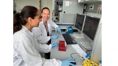 Messung von DNA-Reparaturproteinen am Durchflusszytometer