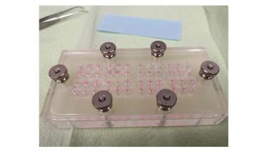 Modifizierte Boyden Chamber für „Cell Migration Assay“