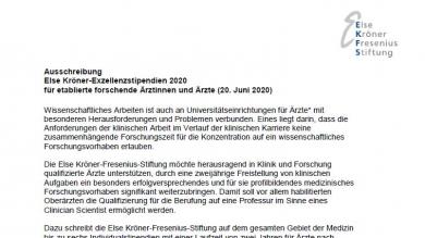 Else Kröner-Exzellenzstipendien 2020: Ausschreibung