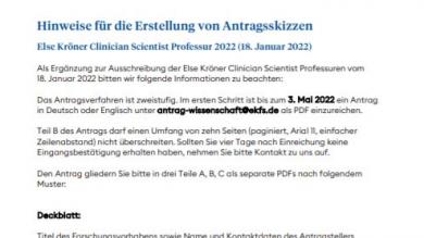 Else Kröner Clinician Scientist Professuren 2022: Hinweise