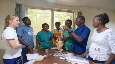 Pädiatrisches Trainingsprogramm in Sierra Leone (PTP)