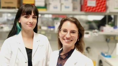 Role of Stat5 in CD4+ T cells in chronic colitis