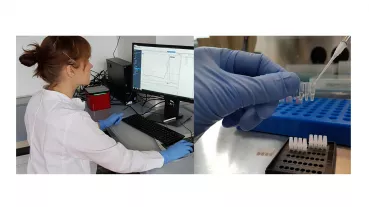 Frau Kosanke beim Vorbereiten der Realtime-PCR-Reaktion für die schnelle und genaue Diagnostik von Hautpilzerkrankungen.