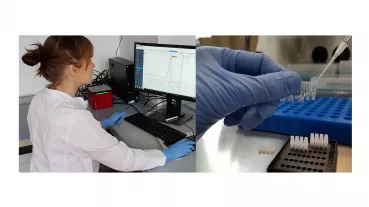 Ms. Kosanke preparing the real-time PCR reaction for the fast and accurate identification of pathogens causing dermatophytosis