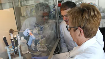 Breeding of telocytes in cell culture. Telocytes will be characterized using biological methods, and cells with the best properties will be amplified by cultivation. Finally, “therapeutic telocytes” shall be used in the clinic.