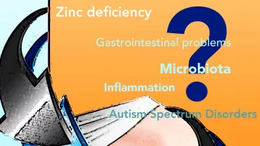 In the project supported by EKFS, we investigate whether zinc deficiency during pregnancy leads to GI alterations that may challenge the immune system causing neuroinflammation, and that may contribute to the development of Autism in the offspring.