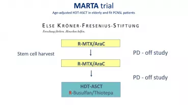 Behandlungsschema MARTA Studie