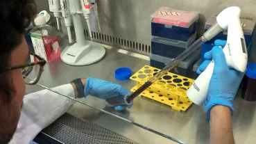 Isolation humaner dendritischer Zellen und T-Zellen aus peripherem Blut