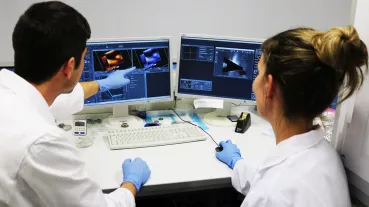 To elucidate the binding properties of desmosomal cadherins we use atomic force microscopy. 