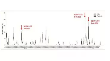 Premalignes B-Zell-Rezeptor-Repertoire in 5 Patienten mit einer lymphoproliferativen angeborenen Störung der Immunität.
