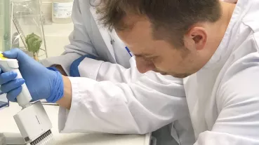 lab
