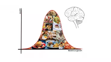 Essen wirkt belohnend auf unser Gehirn. Im Rahmen des Projekts „Binge Eating und neuronale Variabilität“ untersuchen wir den Zusammenhang von erhöhter Variabilität dieser Belohnungsverarbeitung und dem Auftreten von Essanfällen.