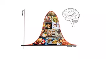 Food has a rewarding effect for our brain. Within the framework of the project “Binge Eating and Neural Variability”, we are investigating the relationship between increased variability of the reward processing and the occurrence of binge eating episodes.