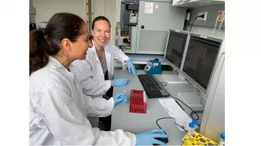 Flow cytometric analysis of DNA repair proteins
