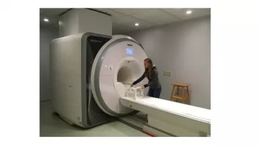 fMRI Scanner