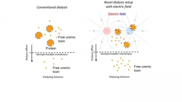 Conventional dialysis principle (left image) in comparison to the modified dialysis technique implying the use of high-frequency electric fields (right image). 