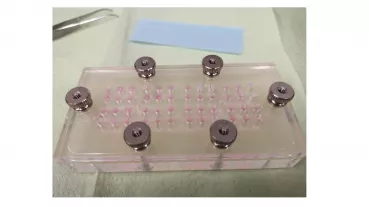 Modified Boyden Chamber for „Cell Migration Assay“