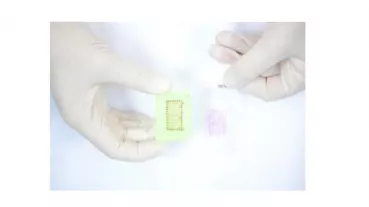 Composition of a Tissue Microarray for comparable examination of a high number of samples
