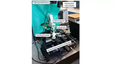 Künstliches Kehlkopfmodell SynthVOICE