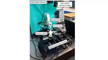 Synthetic larynx model SynthVOICE