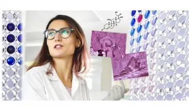 Research on Rare Important Syndromes in Endocrinology (RISE)