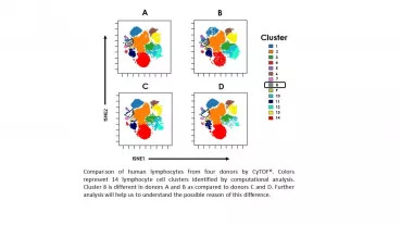 Comparison of human lymphocytes from four donors by CyTOF®. 