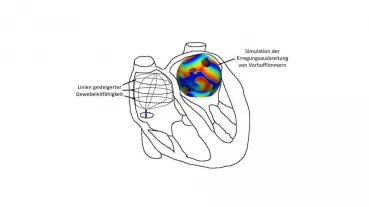 Creation of atrial equipotential lines for termination of atrial fibrillation