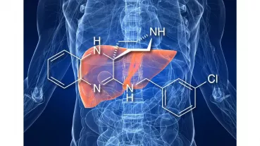 The project involves the preparation and execution of a first-in-man study to investigate the potential of novel small molecule ferroptosis inhibitors for the prevention of ischemia/reperfusion injury upon liver transplantation.