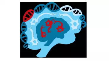 Pathogenic variants in WDFY3 result developmental delay. We observed opposing effects on brain size 