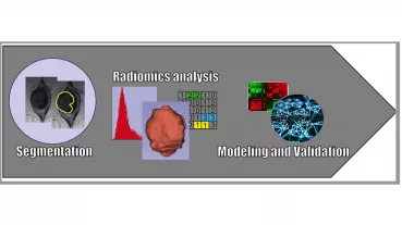 Image: Radiomics Workflow 
