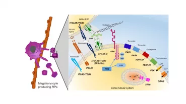 Image: Schematic overview 