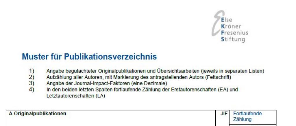 Muster für Publikationsverzeichnis