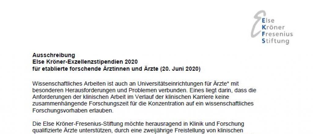 Else Kröner-Exzellenzstipendien 2020: Ausschreibung
