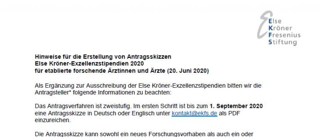 Else Kröner-Exzellenzstipendien 2020: Hinweise