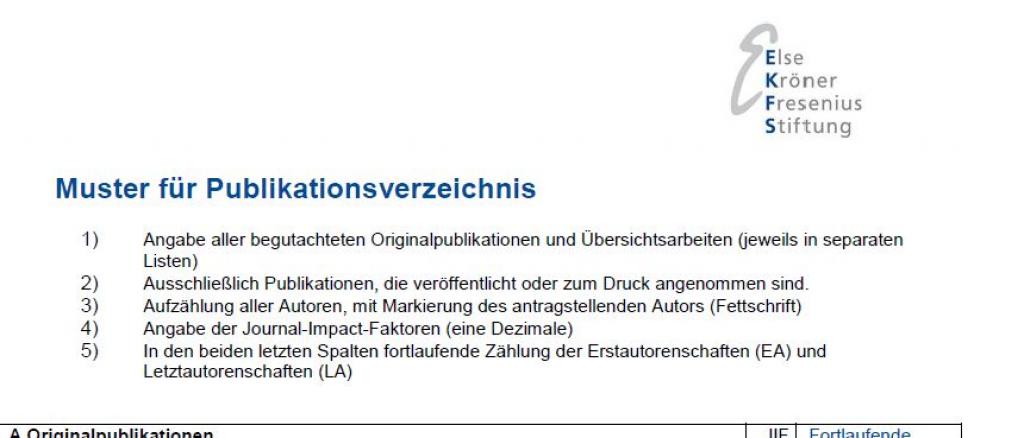 Muster Publikationsverzeichnis Publikationspreise 2021