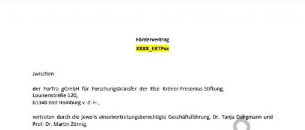 Translatorik Mustervertrag