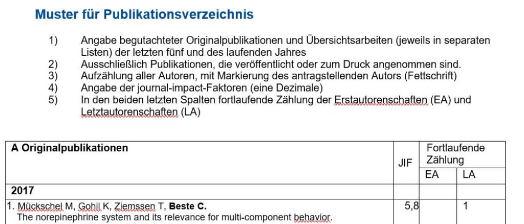 Muster für Publikationsverzeichnis