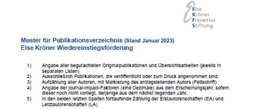 Muster Publikationsverzeichnis Wiedereinstiegsförderung