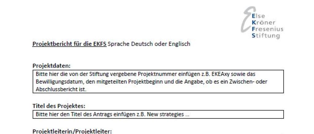 Muster Projektbericht