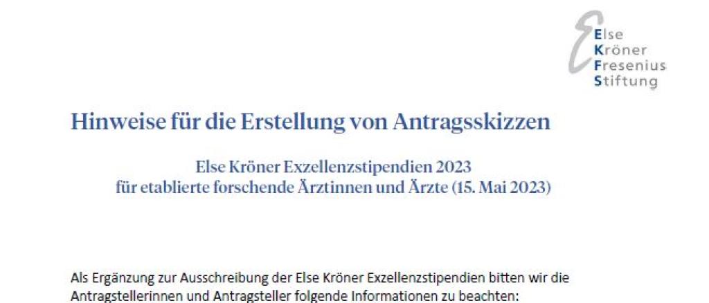 Else Kröner Exzellenzstipendien 2023: Hinweise